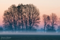 002_Biebrza - kwiecien 2012